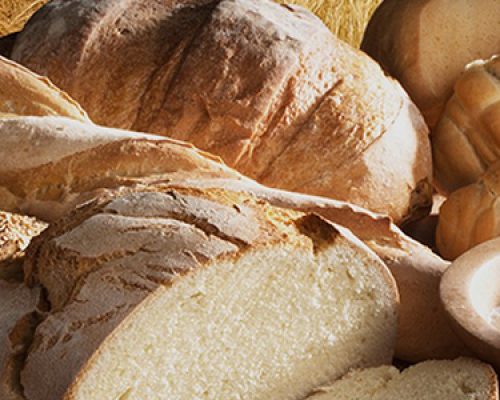 segomo-food-ingredients segomo-food-ingredients